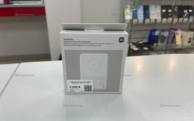 Портативное зарядное устройство Xiaomi BHR9303GL