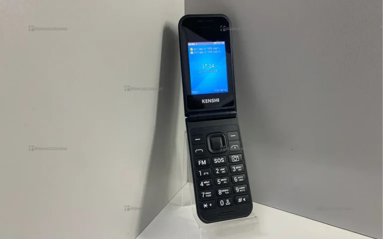 Kenshi F241