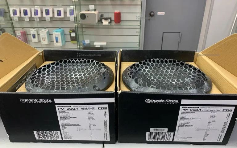 Колонки Dynamic State PM-200.1