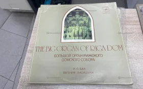 Виниловая пластинка