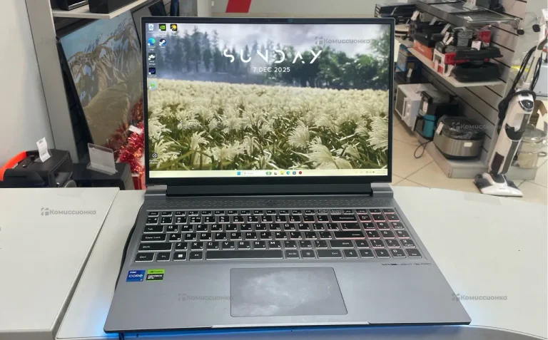 Ноутбук Machenike L16 Pro Stellar