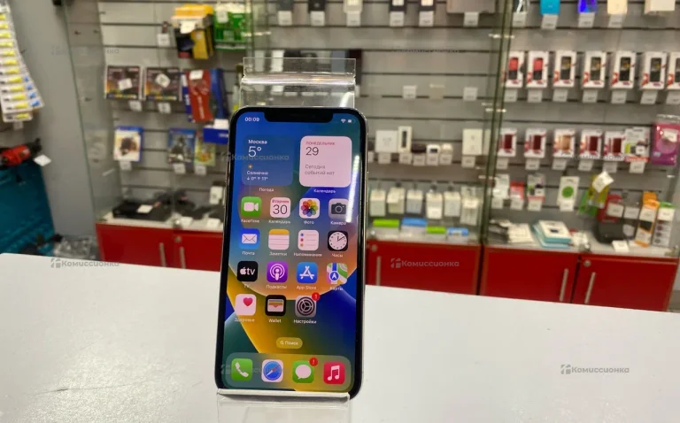 Apple iPhone X 3/256 ГБ