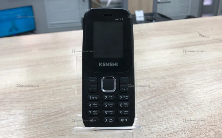 Kenshi mini 1