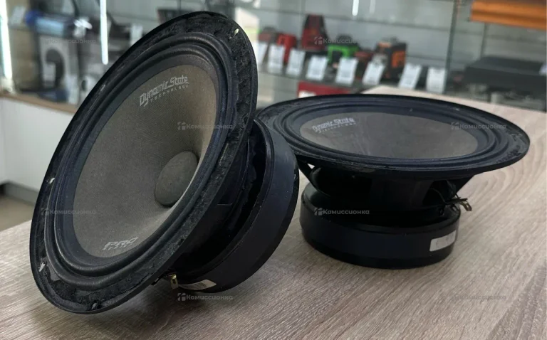 Колонка  Dynamic State PM-200.1