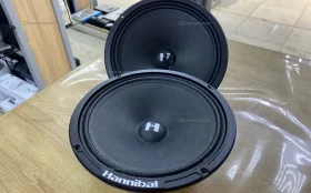 Купить Колонки Hannibal HM-8E б/у , в Самара Цена:1500рублей