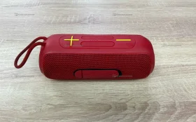 Колонка Hopestar P26