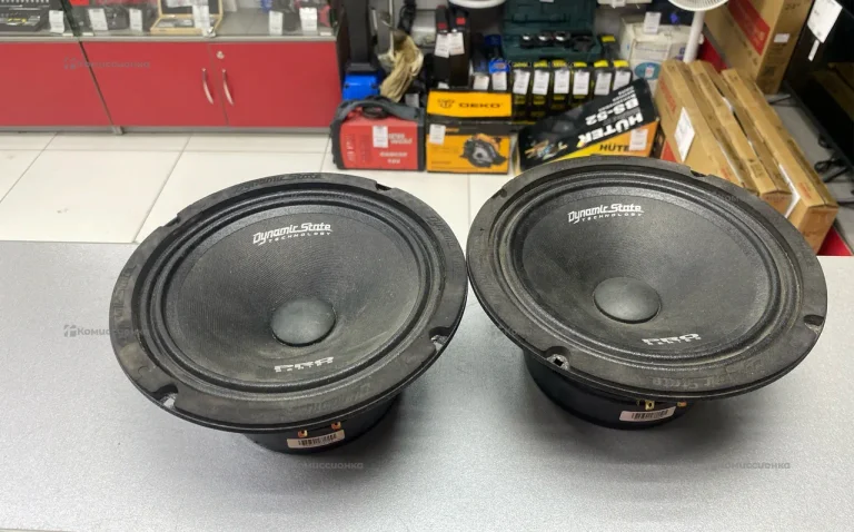 Колонки Dynamic State PM-200.1