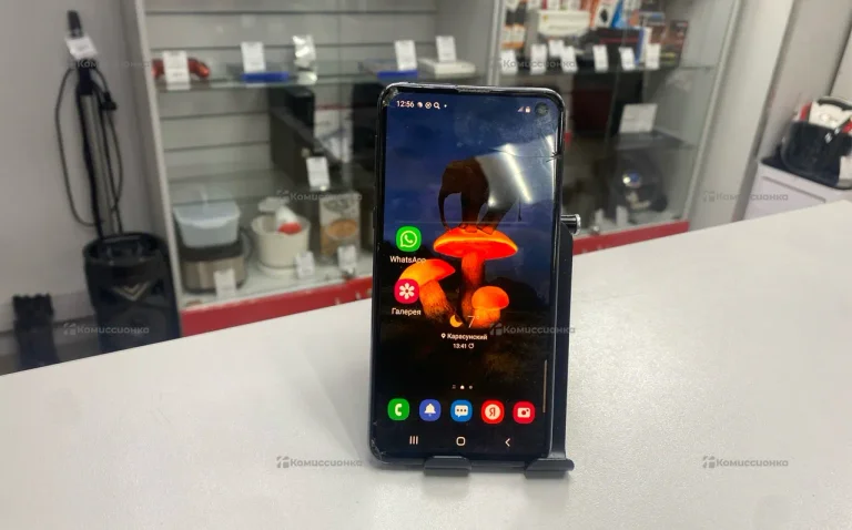 Samsung Galaxy S10e 6/128 ГБ