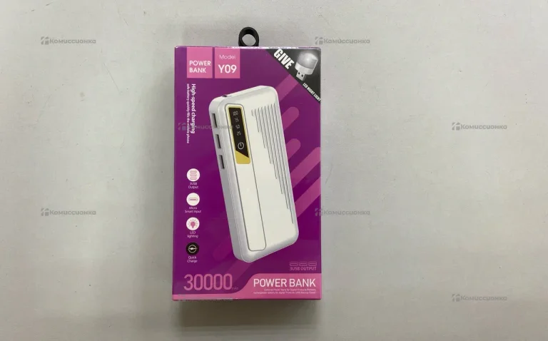 Power Bank Y09 30000