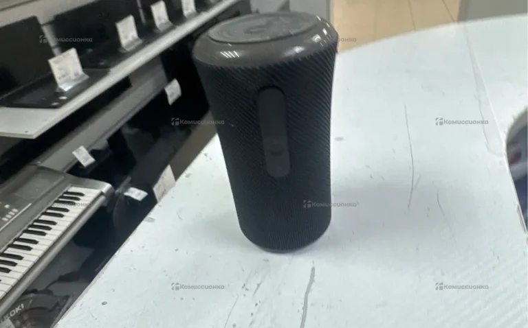 Колонка  Soundcore Flare 2