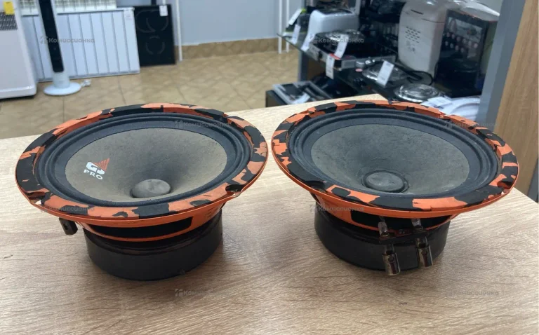 Колонки DL Audio Gryphon Pro 165