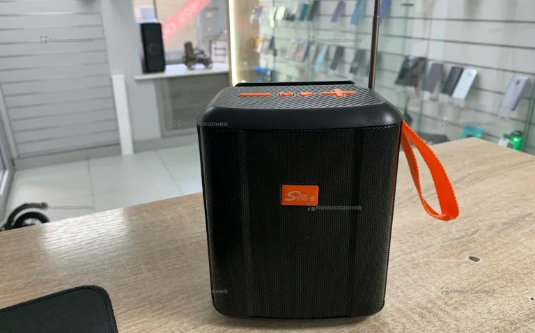 Колонка  Sing -E ZQ820