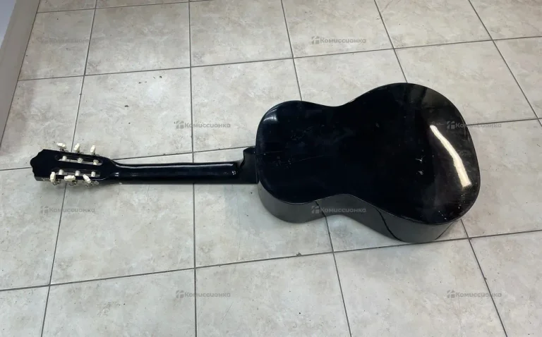 Гитара Terris TC-390A