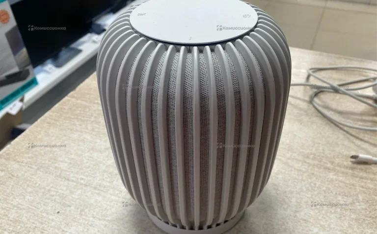 Сбер колонка большая