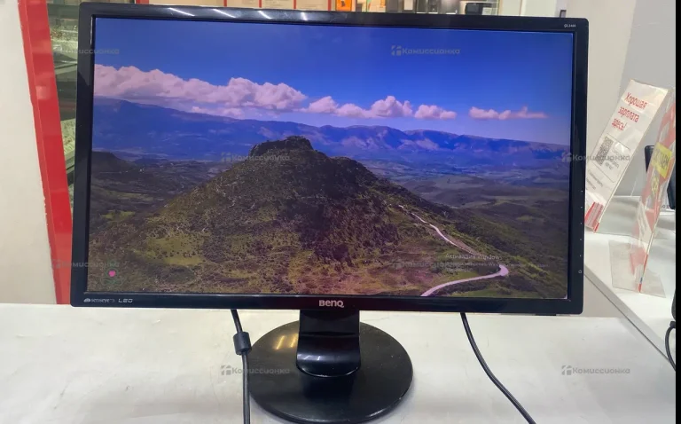 Монитор BenQ GL2460
