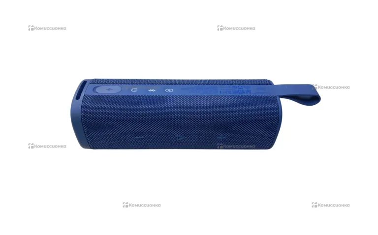 Колонка Xiaomi Outdoor