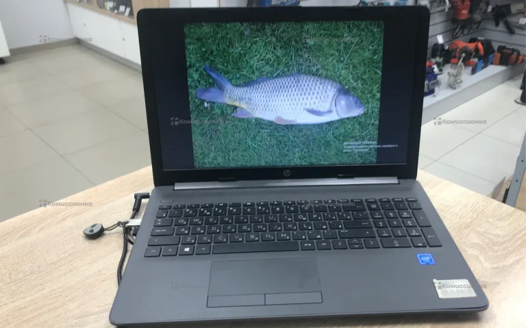 Ноутбук  HP 250 G7