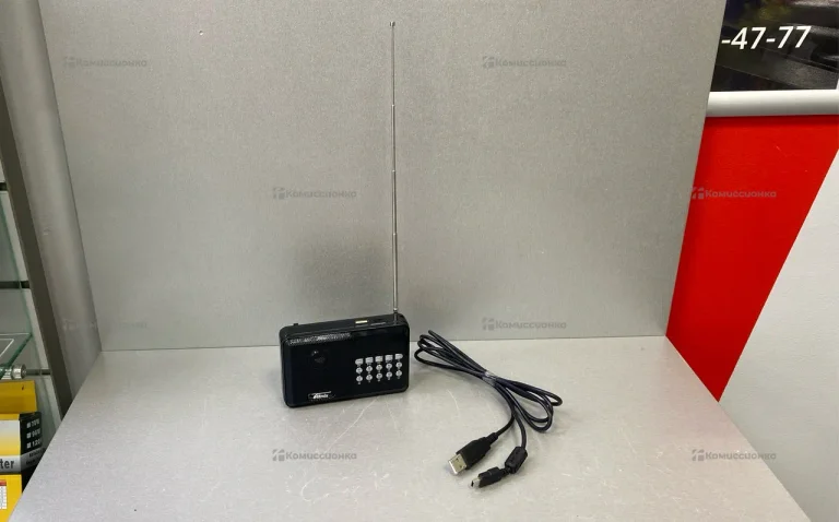Радиоприемник Ritmix RPR-001