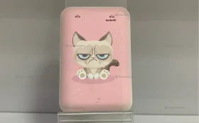 Power Bank  Ritmix 10000