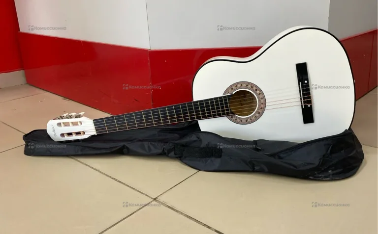 Гитара Belucci BC-3905