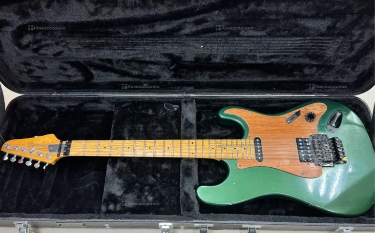 Электрогитара FloydRose