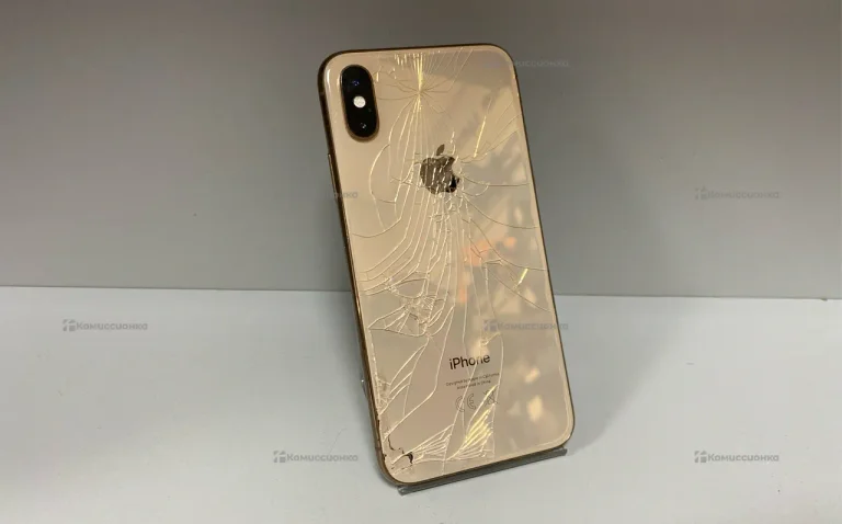 Apple iPhone XS 4/256 ГБ