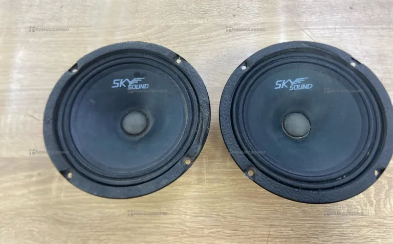 Колонка  SKY Sound SSC-65
