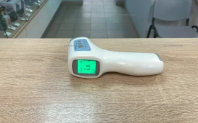 Thermometer GP-300