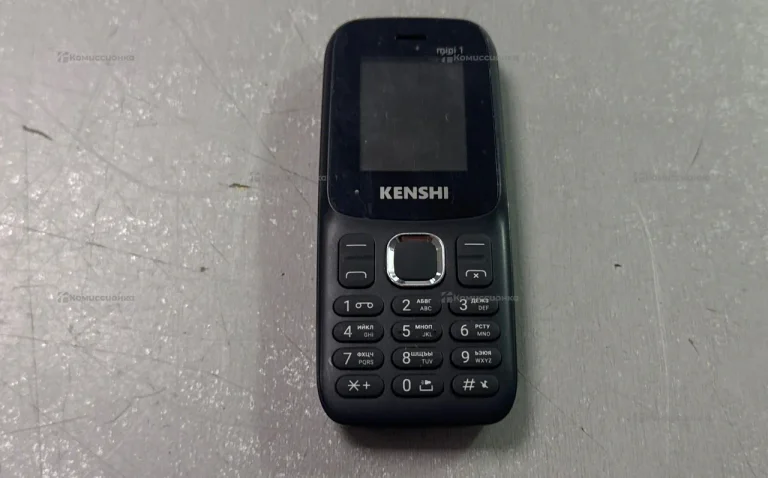 Kenshi mini 1
