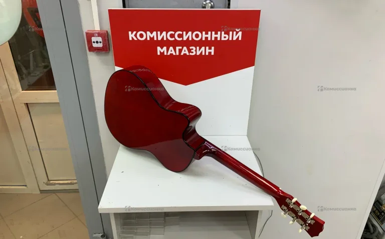 Гитара terris