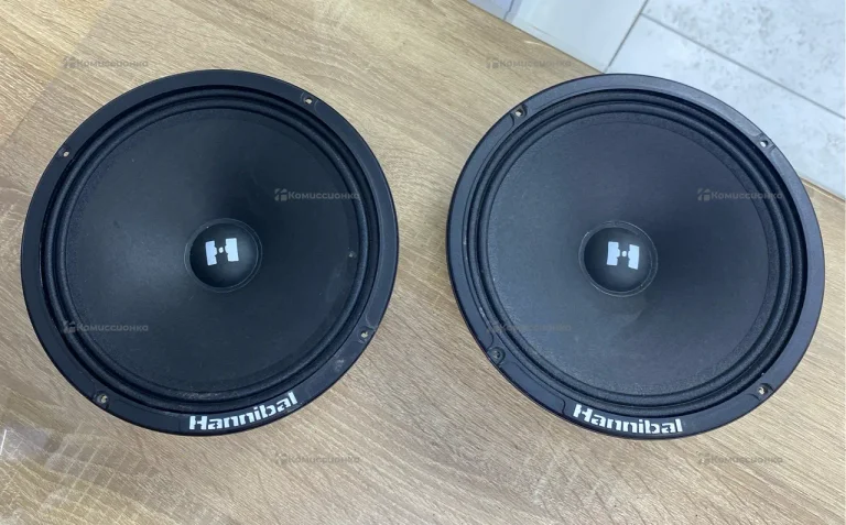 Колонки Hannibal HM-8E Pro