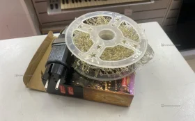 Гирлянда Роса 30м