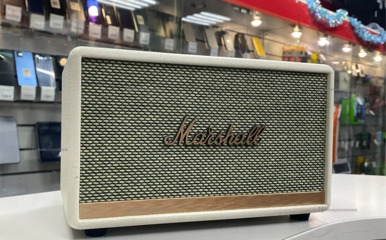 Колонка Marshal Action 2