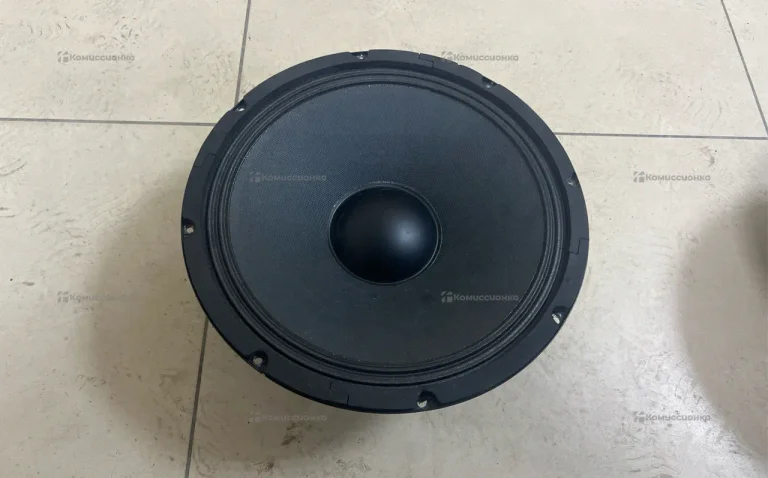 Колонка SAUNDKING 12 300W