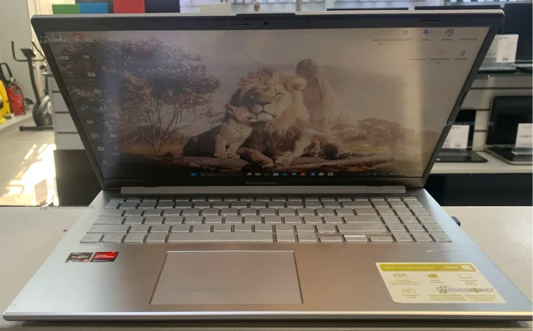 Ноутбук Asus Vivobook Go 15