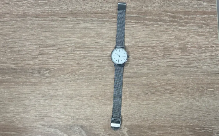 Часы  Skagen Denmark 251912