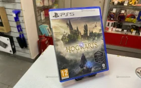 Купить Диск на PS5 hogwarts legacy б/у , в Санкт-Петербург Цена:1990рублей