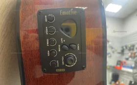 Гитара Emotive