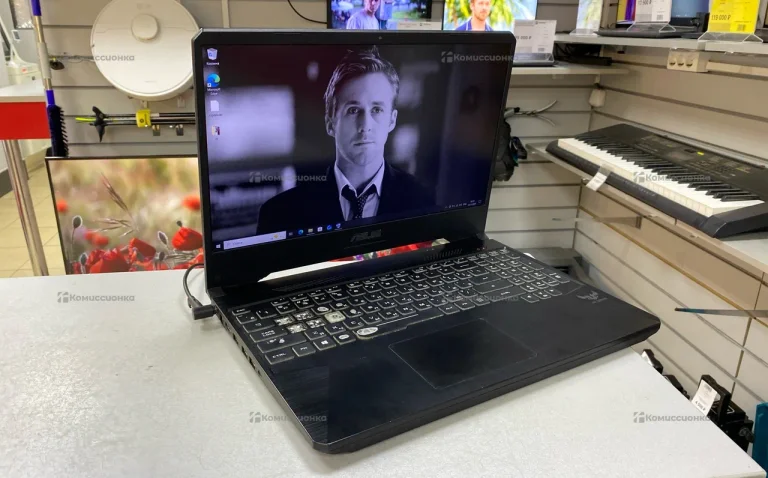 Ноутбук Asus FX505GT-AL021T