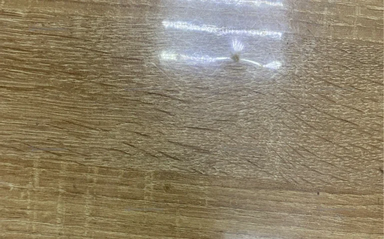 Пылесос  Delonghi E 110 MADPPA