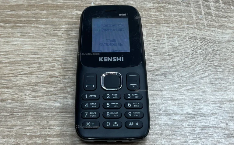 Kenshi Mini 1