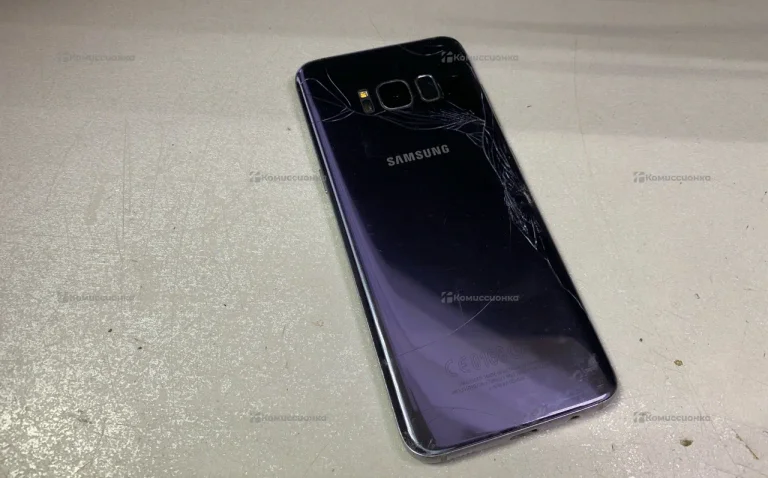 Samsung Galaxy S8 (SM-G9500)