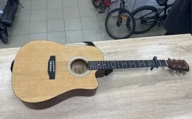 Гитара CASCHA CGA110