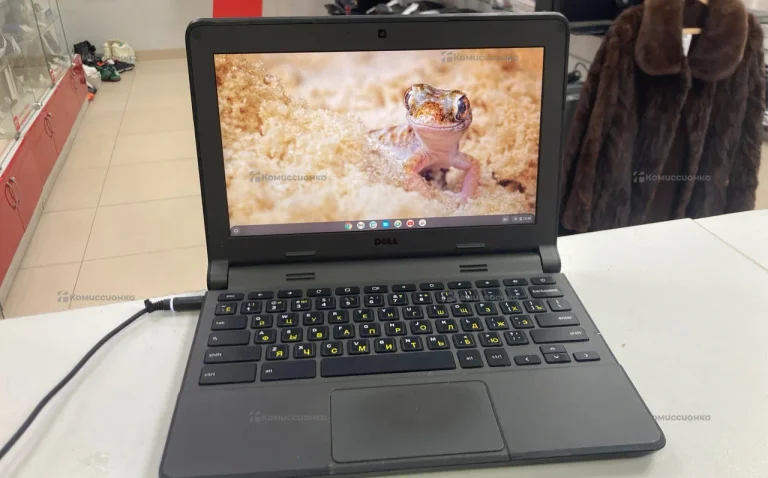 Ноутбук  Chromebook 11 Dell P22T