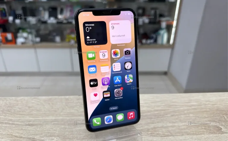 Apple iPhone XS Max 4/256 ГБ