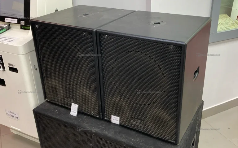 Сабвуфер 2шт концертный