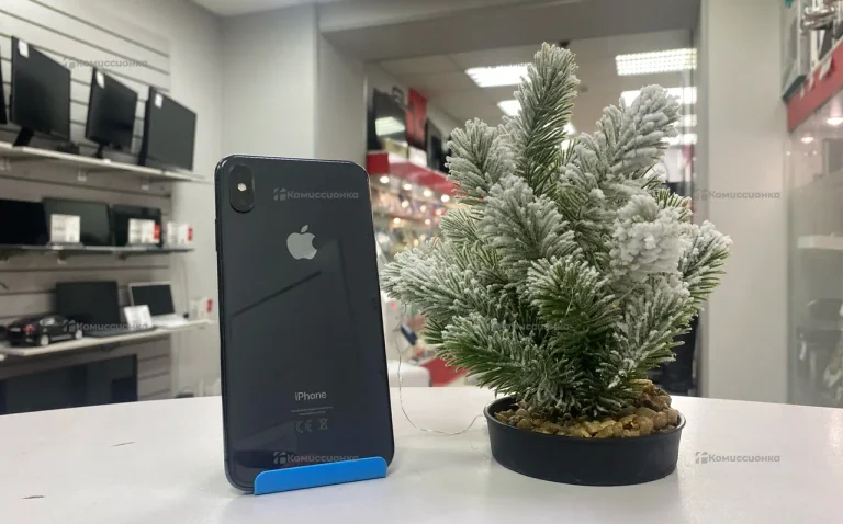 Apple iPhone XS Max 4/256 ГБ 2sim