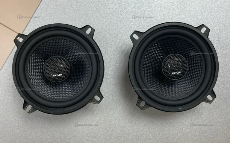 Динамики Skylor EV05