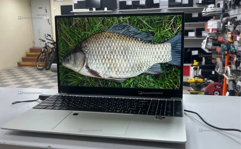 Ноутбук  Default String AMD Ryzen 5 4500U