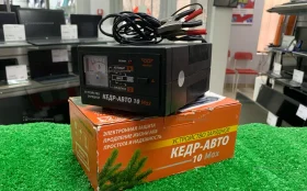 Зарядное устройство Кедр-авто 10